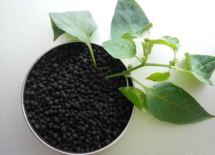 腐植酸顆粒肥對農(nóng)作物會起到哪些作用